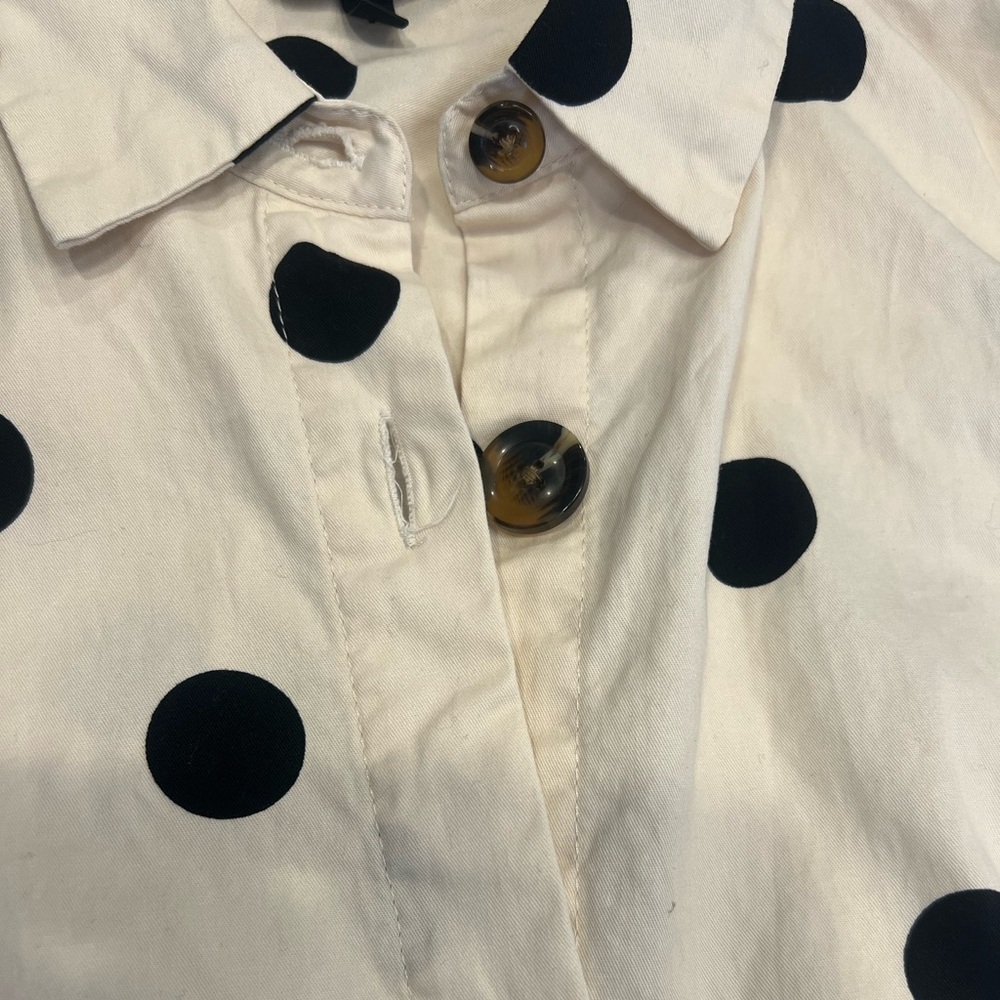 Who What Wear Black & Cream Polka Dot Button Down Dress - Picture 4 of 5